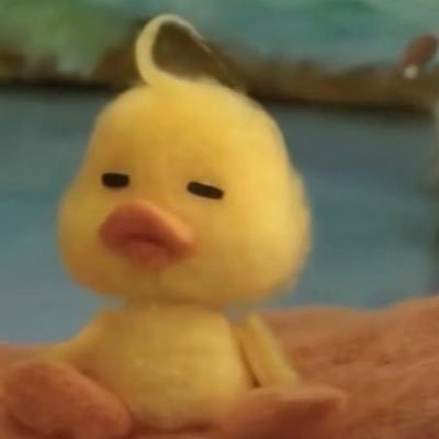 2oo51oo9's profile picture