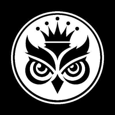 Wise Owls 🦉's profile picture