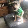 PuddicusLuckticus's profile picture
