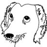 Profilbild von Arin Myths