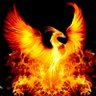 iran_rebirth👑's profile picture