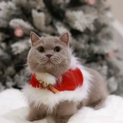 mumubebeb's profile picture