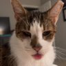 boxcar willie's profile picture