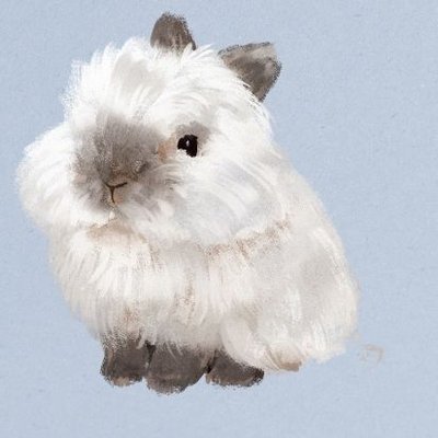 DonkoShitake's profile picture