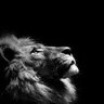 عبدالله .. profil fotoğrafı