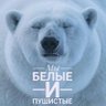 Сибирякъ's profile picture