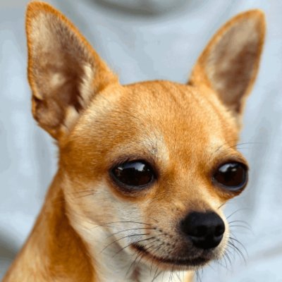 bones's profile picture