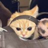 p★ 的头像