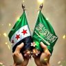 Ahammd ALALI's profile picture