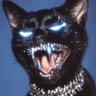 Profilbild von anthonie