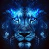 Фото профиля don blue