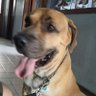 Gil M Bernal's profile picture
