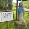 茶ま 的头像