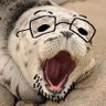 seal!! | GLOBAL LIBERATION 🇵🇸🇨🇩🇺🇦 profil fotoğrafı
