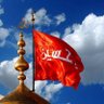 Profilbild von S.Gul-e-Zehra🇵🇰