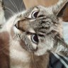 Gus profil fotoğrafı