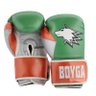Boyga profil fotoğrafı