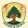 Cedars and Saints🇻🇦 的头像