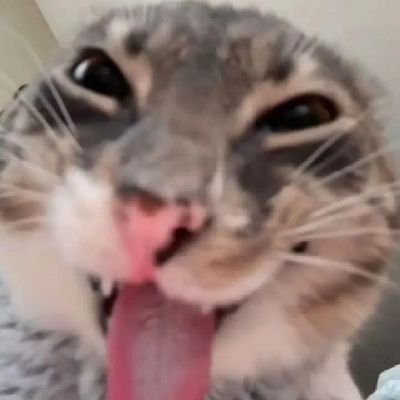 botbadeiei's profile picture