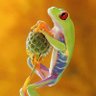 Seyla's profile picture