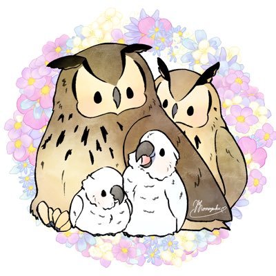 hsk_owl_0v0's profile picture