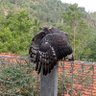 mamAN profil fotoğrafı