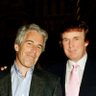 Profilbild von Ghost of Jeff Epstein