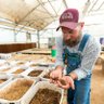 Profilbild von West Texas Integrated Pest Management