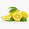 Indian Lemon's profile picture