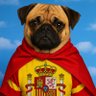 Profilbild von 🇪🇦 🐕 El Carlino Justiciero🦸🏻🇪🇦