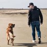 B.W. 🇩🇪 的头像
