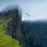 Фото профиля Peter Schofield
