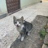 HUKUKÇU profil fotoğrafı