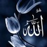 جاسم حمادي 的头像