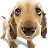 Ares Unchained's profile picture