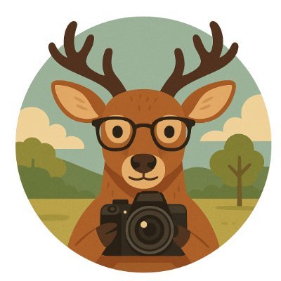 nara_yamamoto's profile picture