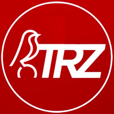 TheRobinsZone's profile picture