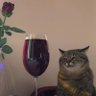 mads's profile picture