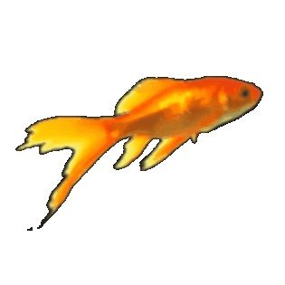 FUNfacts's profile picture