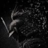 AY ๐ธ๐ฆ.'s profile picture