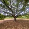 Фото профиля Simon Rhodes