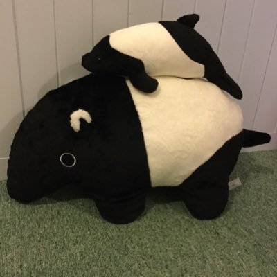 doll_balus's profile picture