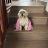 Manuel 的头像