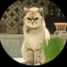 Фото профиля Time is bad🐾🐾🌍