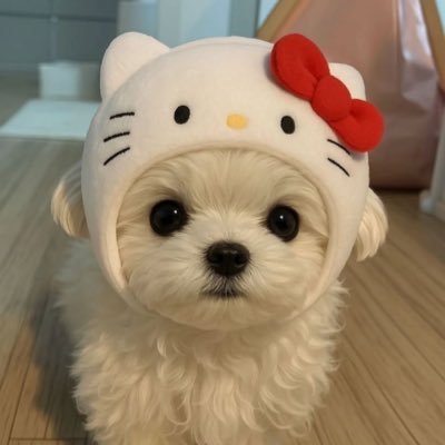 komebakugui's profile picture