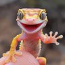 Фото профиля Don Nando