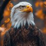 Mr Joe🏀 profil fotoğrafı