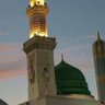 جارة المصطفى | صلّوا عليه ﷺ profil fotoğrafı