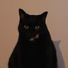 Profilbild von Animales salvajes de Puente Viesgo