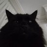 Jason's profile picture